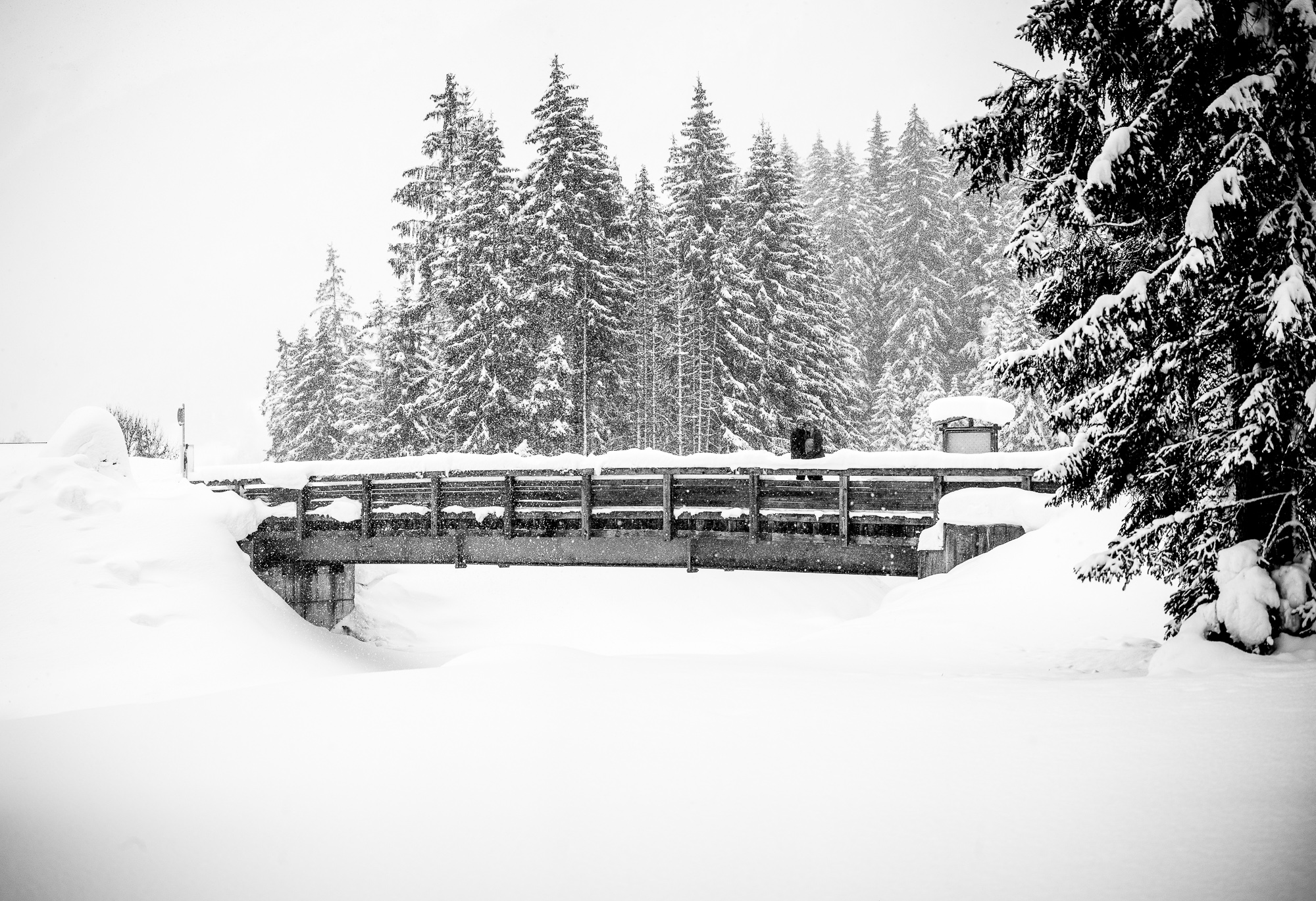 Export x3 1DX29454 Pano Verlobungsfotoshooting 2018 Anna & Dominik 2
